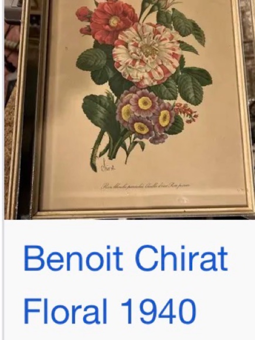 Vintage Floral Botanical Print in Brown Frame - Red, Pink, Green - Picture 8 of 11